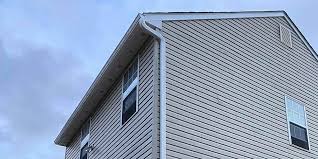 Best Custom Trim and Detailing for Siding  in Kingston, IL